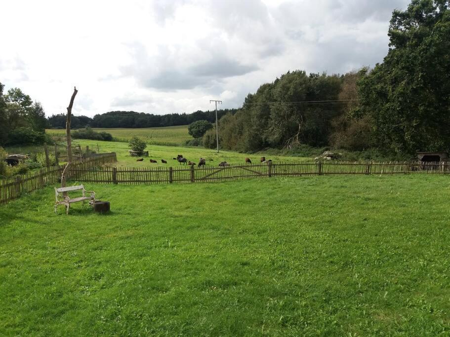 Exklusivewohnung Mitten In Der Natur - Ruth'S Nest Babelin Exteriör bild